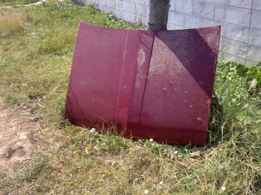 ขายหัว ช้าง ขายหัว ช้าง