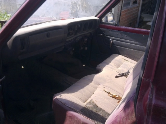 ขายหัว ช้าง ขายหัว ช้าง