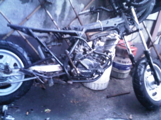 honda ns50