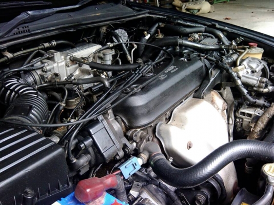 ตาเพชรสวยๆครับ