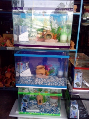 ขาย..ตู้เลืัยงปลา.สวยงาม..ราคาโรงงาน ขาย..ตู้เลืัยงปลา.สวยงาม..ราคาโรงงาน