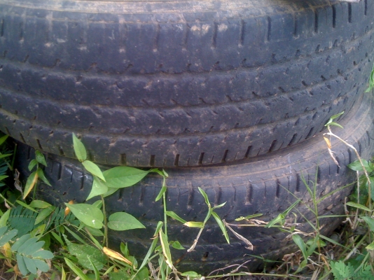 ขายพ่วงรถไถคร้าบ  ขายกันไปเลยถูกๆ