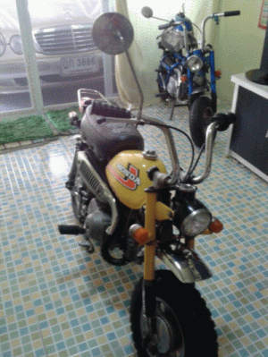 มาแว้ววววว  HONDA MONKEY มะละกอ