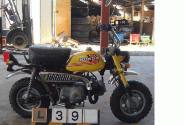 มาแว้ววววว  HONDA MONKEY มะละกอ