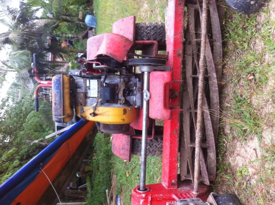 ขายเครื่องตัดหญ้าทรูอินวันทั้งแบบละเอียดและหญ้ายาว