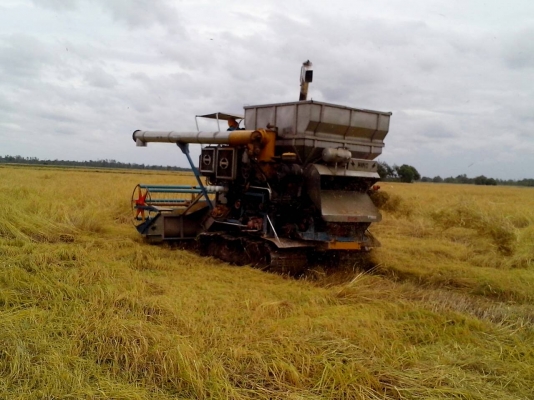 ขายรถเกี่ยวอุ้ม2.5ตันเลสทั้งคัน