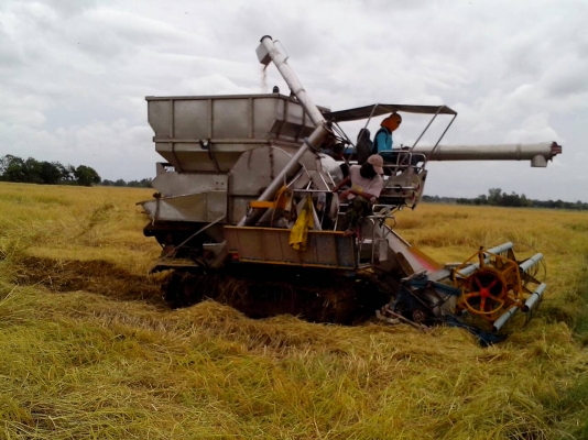 ขายรถเกี่ยวอุ้ม2.5ตันเลสทั้งคัน