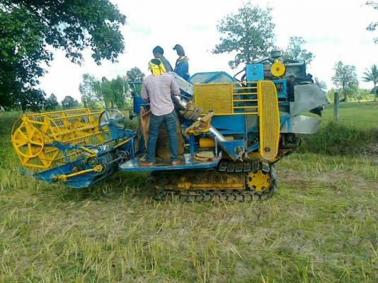 ขายรถเกี่ยวรองกระสอบเจ้าช้างน้อยไวไฟ ขายรถเกี่ยวรองกระสอบเจ้าช้างน้อยไวไฟ