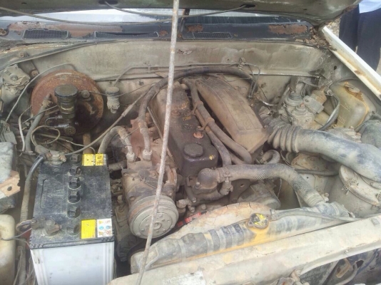 เครืองมังกร