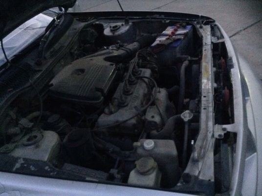 เอ้นวี95 เอ้นวี95