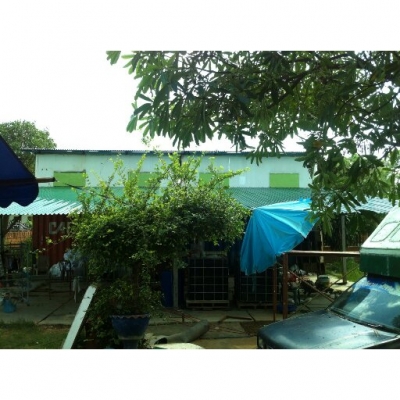 ตู้คอนเทนเนอร์ และ โครงหลังคาโรงงาน