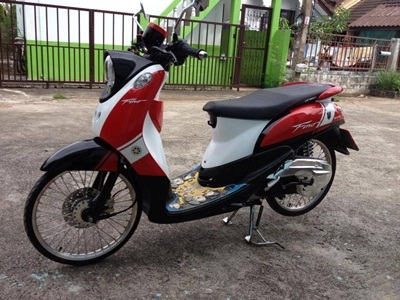 ฟีโน่ เกร์แยกปี55  สวยๆ