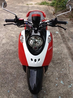 ฟีโน่ เกร์แยกปี55  สวยๆ