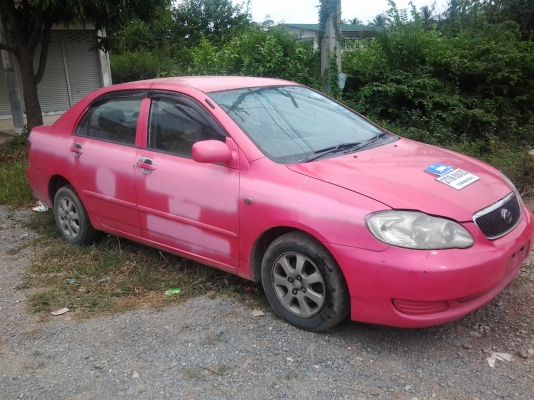 ปลดป้าย ทำสีสวยเลย