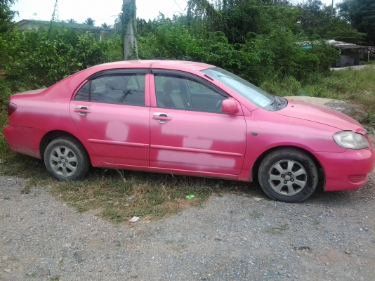 ปลดป้าย ทำสีสวยเลย