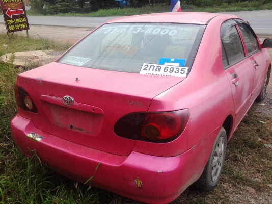 ปลดป้าย ทำสีสวยเลย