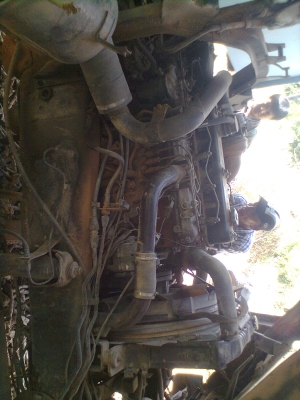 ขายแล้ว