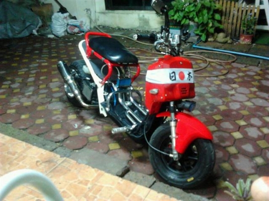ขาย zoomer 50cc