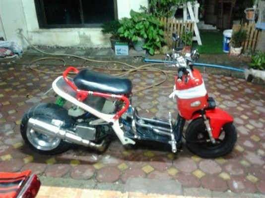 ขาย zoomer 50cc