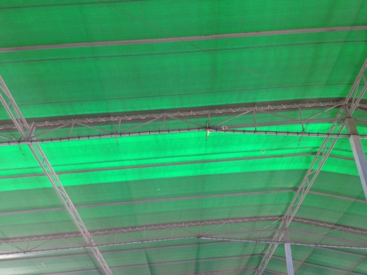 ขายโครงสร้างเต๊นขนาด 36 x 90 เมตร สภาพสวยมากๆครับ ราคาไม่แพง