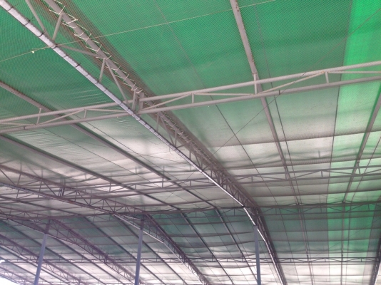 ขายโครงสร้างเต๊นขนาด 36 x 90 เมตร สภาพสวยมากๆครับ ราคาไม่แพง