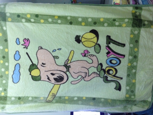 ผ้าห่มนาโน ราคาพิเศษ