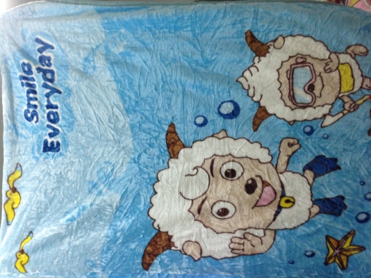 ผ้าห่มนาโน ราคาพิเศษ