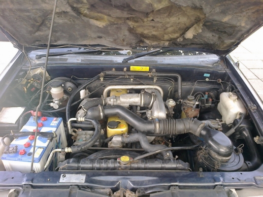 ขายดราก้อนอายตอนเดียว ขายดราก้อนอายตอนเดียว