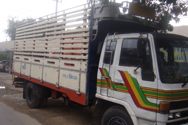 ขายด่วนรถ6ล้อใหญ่ Isuzu rocky