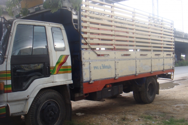 ขายด่วนรถ6ล้อใหญ่ Isuzu rocky ขายด่วนรถ6ล้อใหญ่ Isuzu rocky