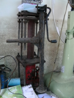 แม่แรงยุโรป บริสเตน