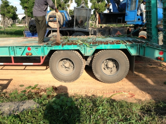 ขายหัวลาก พร้อมหางต่อใหม่