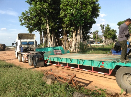 ขายหัวลาก พร้อมหางต่อใหม่