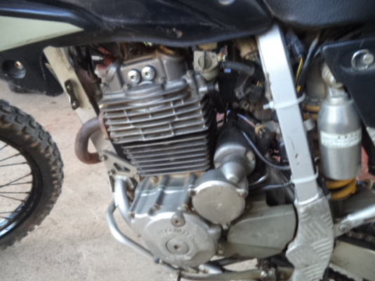 ขายXR-250 CC ปี04 ทะเบียน 95000- ขายXR-250 CC ปี04 ทะเบียน 95000-