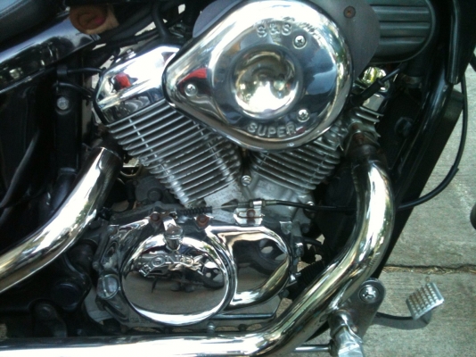 ขาย Steed อินวอยครับ ขาย Steed อินวอยครับ