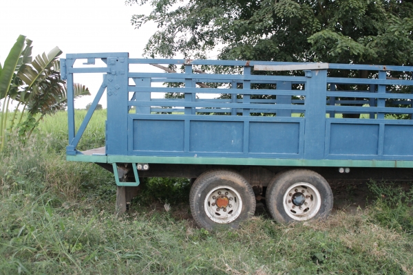 พ่วงลากอ้อยติดรถไถใหญ่