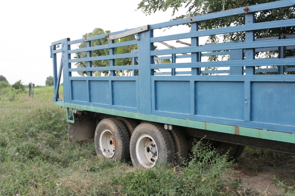 พ่วงลากอ้อยติดรถไถใหญ่