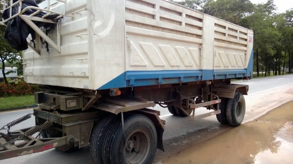 ขายลูกพ่วงดั้มสามมิตร ขายลูกพ่วงดั้มสามมิตร