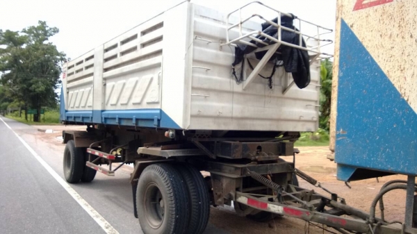 ขายลูกพ่วงดั้มสามมิตร