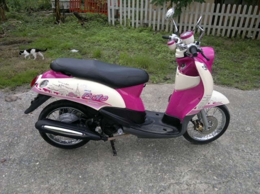 ขาย fino ไมล์แยก ปี 2013