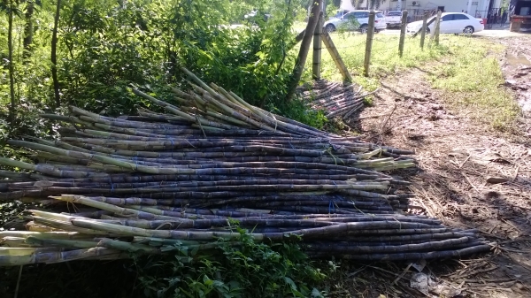 10ล้อเพลาเดียวISUZU 165 แรง 6BD1สภาพยังดี หัวเดิมบาง เครื่องนิ่มมาก ..