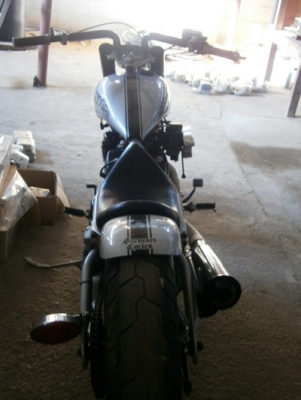 ขาย STEED HARDCORE