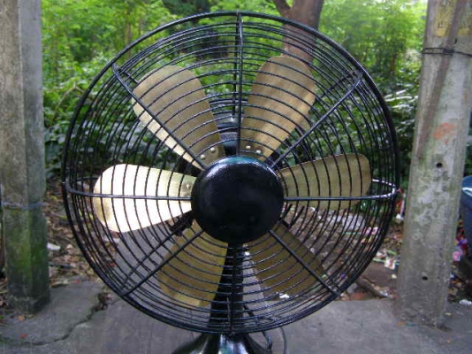 ขายพัดลมเก่า เก็บก็ได้ ใช้ก็ดี โชว์ก็สวย ลดเหลือ 1000.