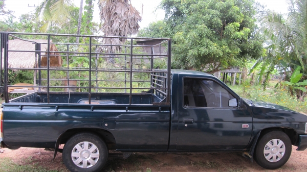 ขายกระนิสสันบิ๊กเอ็มตอนเดียว เครื่องฝาแดงละเอียดสภาพพร้อมใช้งานเครื่องดีไม่ไอไม่จาม+แอร์เย็นจนหนาว+เทปชีดี+ยางดี4เส้น+เสริมแหนบพร้อมบรรทุกงาน+ศูนย์ดีช่วงล่างแน่นปึก+คอกกระบะพร้อมบรรทุก+ภาษีปี57+เอกสารพร้อมโอน....ขาย98000บาทต่อรองได้นิดน่อยรถยุอำนาจเจริญมา