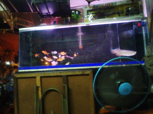 ตู้ปลา 60 นิ้ว 2 ใบ พร้อมขา