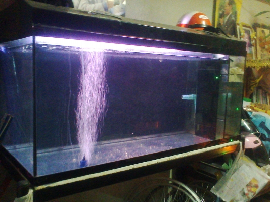 ตู้ปลา 48 นิ้ว พร้อมขา พร้อมฝา