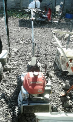 ขายเครื่องตัดหญ้าเดินตาม Honda UM-T12