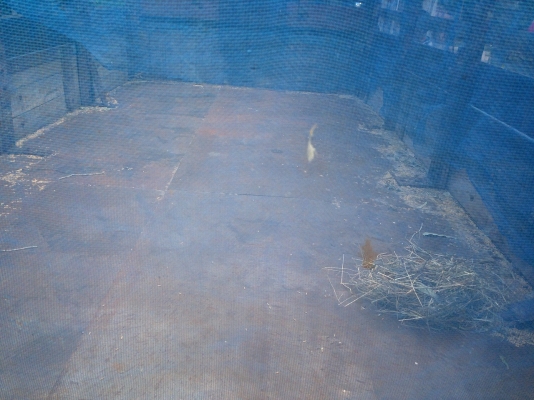 **250,000 บ.ต่อรอง**ขาย6ล้อ ISUZU KS 110HP ปี27 เครื่อง110ฝาขาวยอดนิยม แน่นดี อึดทน ช่วงล่างเดิม5น็อต คัสซีดี เสริมเหล็กบน-ล่าง แข็งแรง กระบะพื้นเหล็กคอกไม้ ยาว4.30ม.สภาพดีไม่ผุไม่หักยางดี6เส้น หัวสวยภายในสวยคอนโซลครบ พร้อมใช้ พร้อมลุยงาน เอกสารครบ ร **250,000 บ.ต่อรอง**ขาย6ล้อ ISUZU KS 110HP ปี27 เครื่อง110ฝาขาวยอดนิยม แน่นดี อึดทน ช่วงล่างเดิม5น็อต คัสซีดี เสริมเหล็กบน-ล่าง แข็งแรง กระบะพื้นเหล็กคอกไม้ ยาว4.30ม.สภาพดีไม่ผุไม่หักยางดี6เส้น หัวสวยภายในสวยคอนโซลครบ พร้อมใช้ พร้อมลุยงาน เอกสารครบ ร