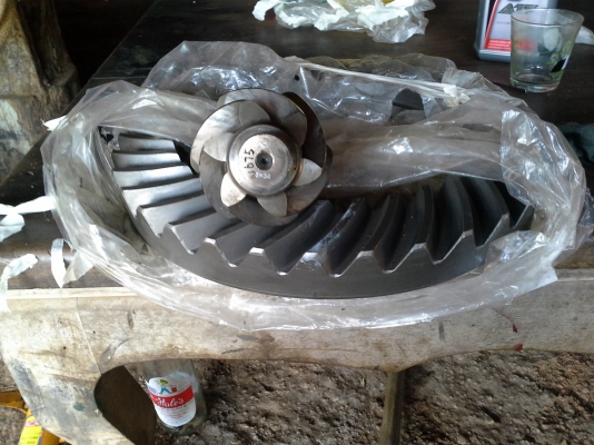 ฝากขายเฟืองจานเดือยหมู Fuso