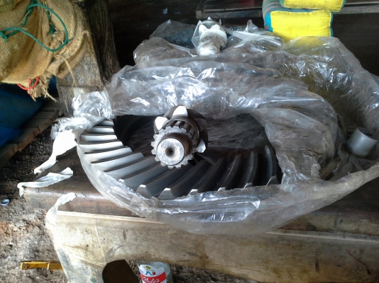 ฝากขายเฟืองจานเดือยหมู Fuso